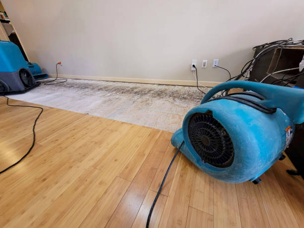 Professional Structural Drying technician working in Cloverdale, IN